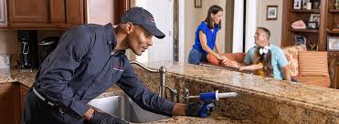 Real Estate Pest Inspections in Turnersville, NJ